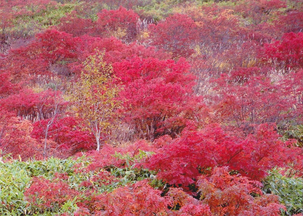 Shiga Kogen Hotel Shiga Sunvalley Yamanouchi  Exterior foto